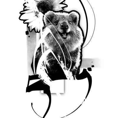 tattoo design quokka