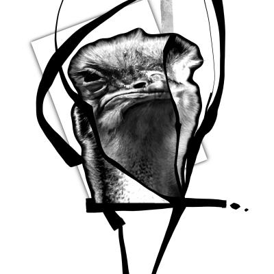 Abstrakt realistisches Tattoo Motiv/ Wannado Design - Strauß Vogel grimmig von Clemens Tattoo 